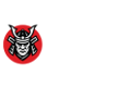 RoninSlots Casino Logo