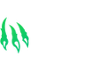 Wild.io Casino Logo